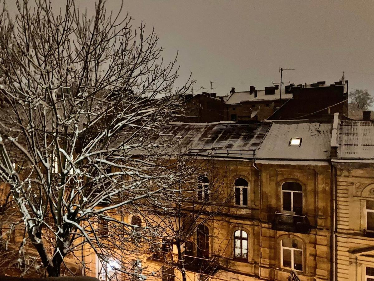 Valentine Apartment Lviv Buitenkant foto