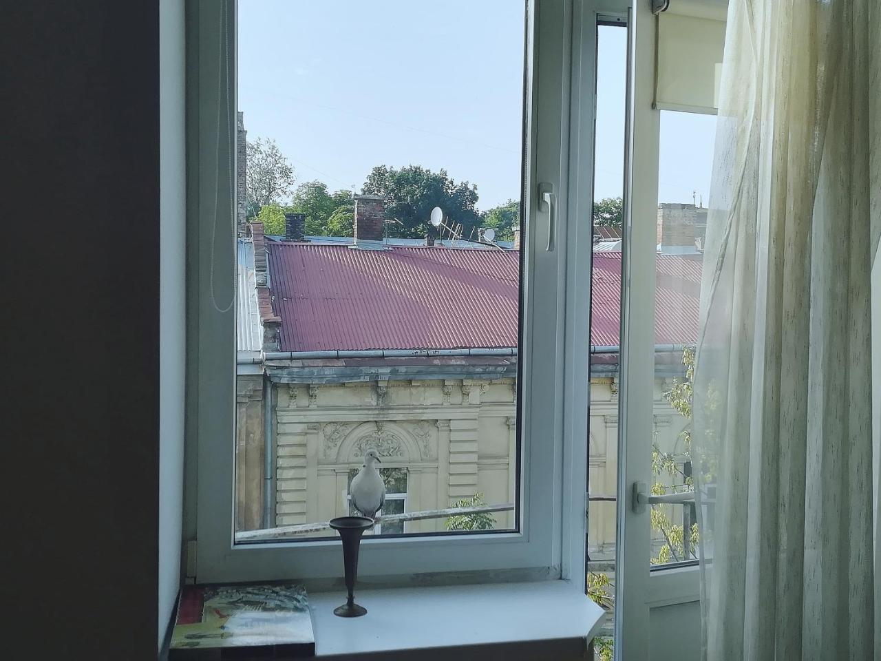 Valentine Apartment Lviv Buitenkant foto